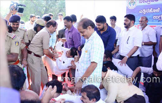  Yettinahole Project 4